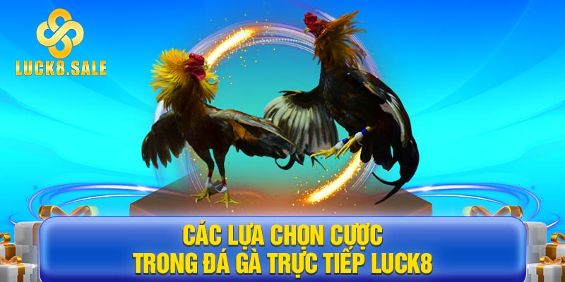 Các lựa chọn cược trong Đá gà trực tiếp LUCK8