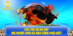 các thế gà đá