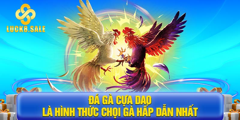 Đá gà cựa dao là hình thức chọi gà hấp dẫn nhất