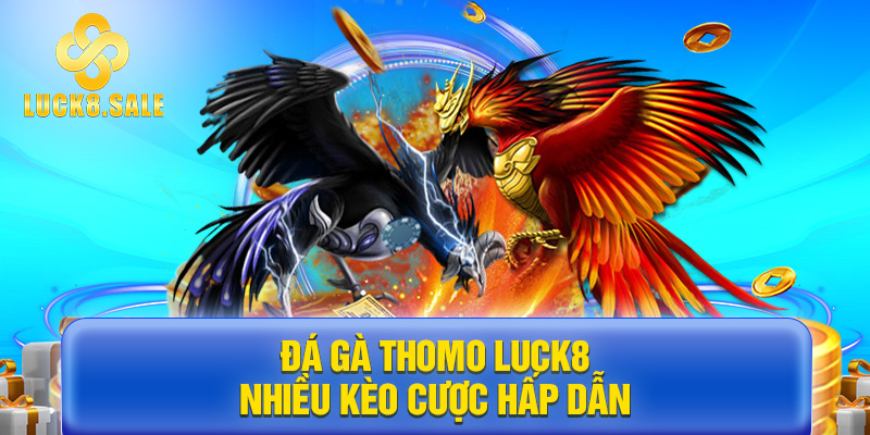 Đá gà Thomo Luck8 nhiều kèo cược hấp dẫn