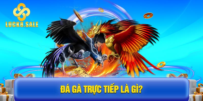 Đá gà trực tiếp là gì?