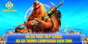 đá gà trực tiếp Luck8