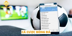 cá cược bóng đá