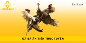 đá gà ăn tiền trực tuyến