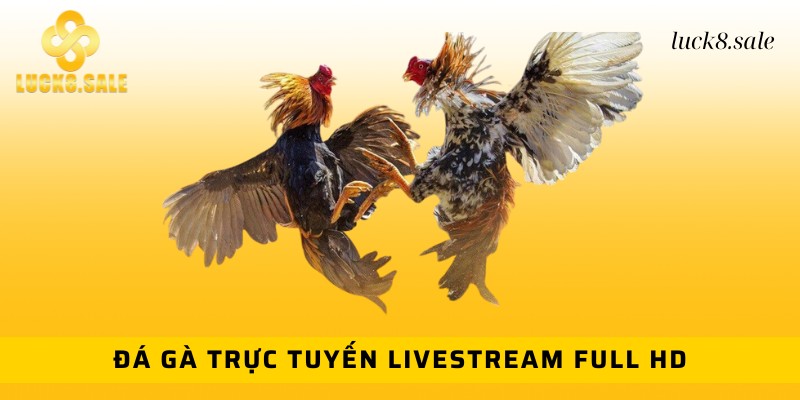 Phiên bản đá gà trực tuyến có hệ thống livestream Full HD